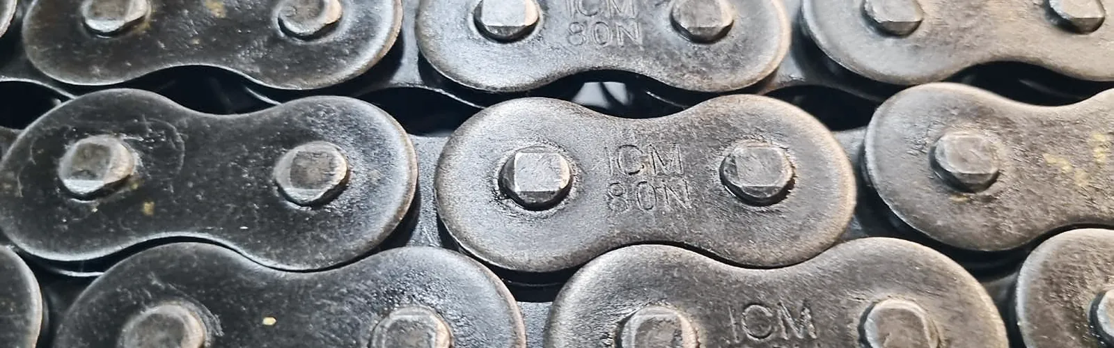 ICM 80 roller chain