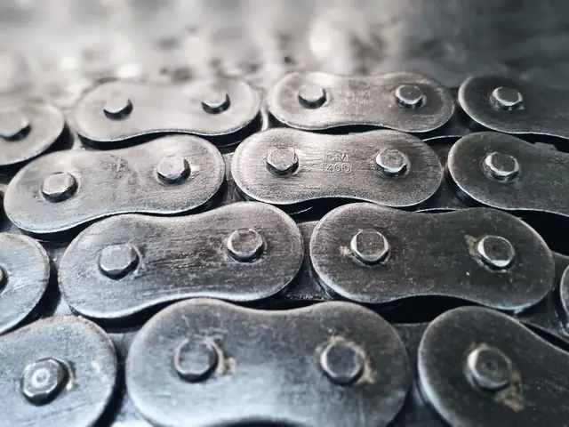 ICM roller chain